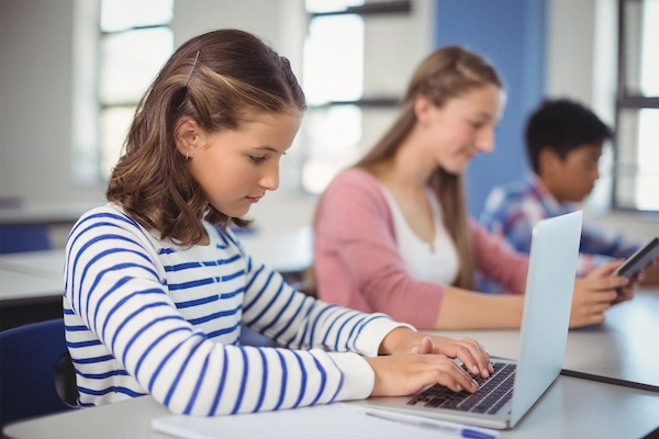 Detailed Reporting on learners’ progress.